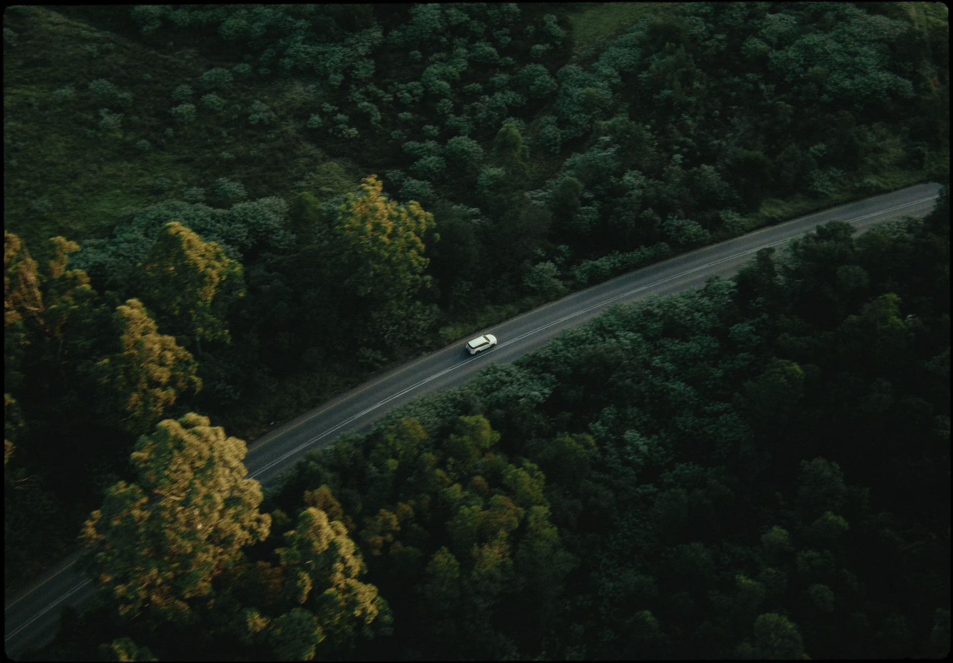 Une voiture traverse la forêt sur une route sinueuse.