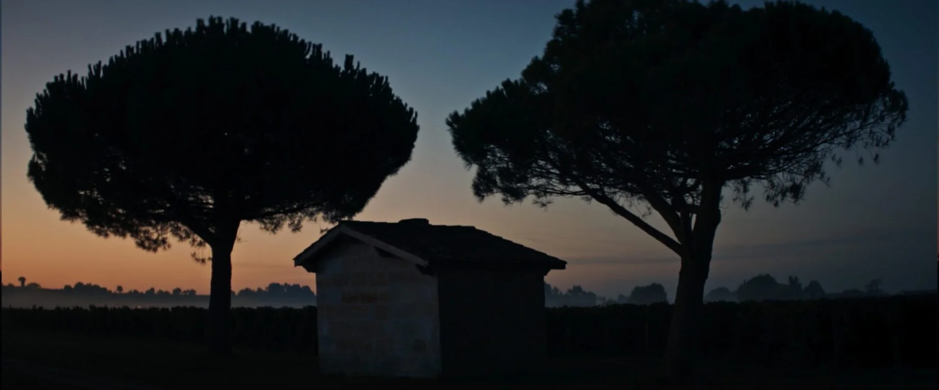 Image 10 du film LE DÔME – SAINT-ÉMILION